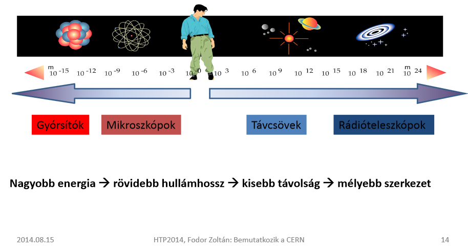 Dr. Jarosievitz Beáta 1.