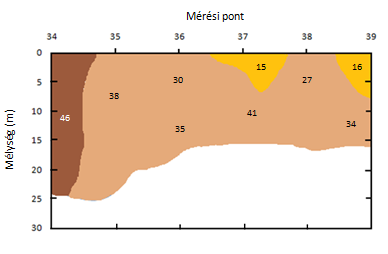 RMT-mérések Külső-tó 1. szelvény 2.