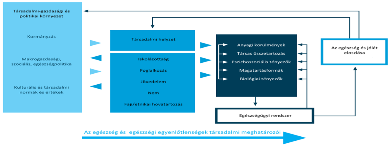 Interjú vizsgálat A kérdőíves vizsgálatot félig strukturált interjú vizsgálat egészítette ki, egyrészt a kérdőív kérdéseinek pontosítása érdekében, másrészt további, mélyebb információhoz kívántunk