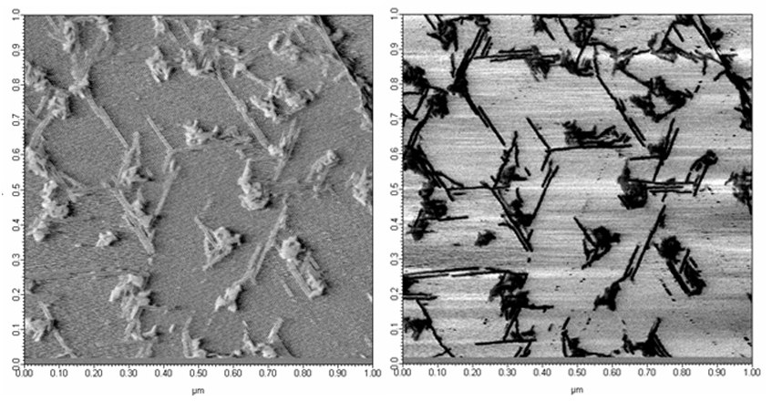 Idő (s) Fig. 17. Concentration-dependent kymograms of Aß25 35 fibrils, demonstrating stepwise disassembly events.