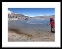 Természetes ökoszisztémák mikrobaközösségei Extremofil baktériumközösségek az Ojos del Salado vulkán (Száraz-Andok) magashegyi környezetében Borsodi Andrea Névtelen tó, 6500 m Névtelen tó, 5900 m
