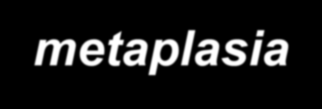 Adaptációs szöveti reakciók (atrophia,