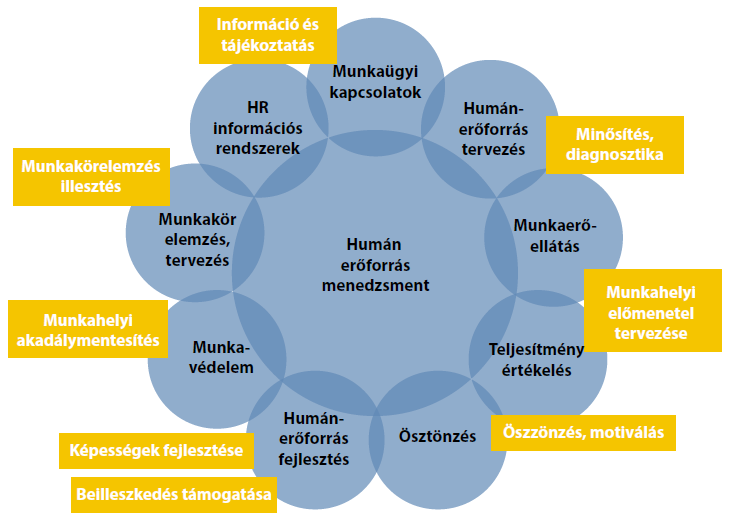 HR folyamatok és MMK munkavállalók 31 HR stratégiák és megoldások Dirverzitás tréning Tréning MMK-soknak Kollégákkal potenciálisan kialakuló
