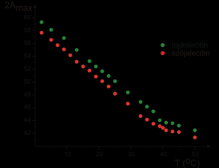 Eredmények 21. ábra DOX-5-tel jelölt tojás- és szójalecitin MLV-k hiperfinom csatolási állandójának kétszerese (2A max ) ábrázolva a hőmérséklet függvényében.