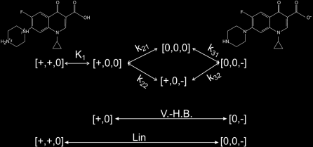 Megbeszélés 30. ábra A bal oldali kép a CPFX molekulák liposzómához történő kötődésének sémája a két vizsgált ph értéken.