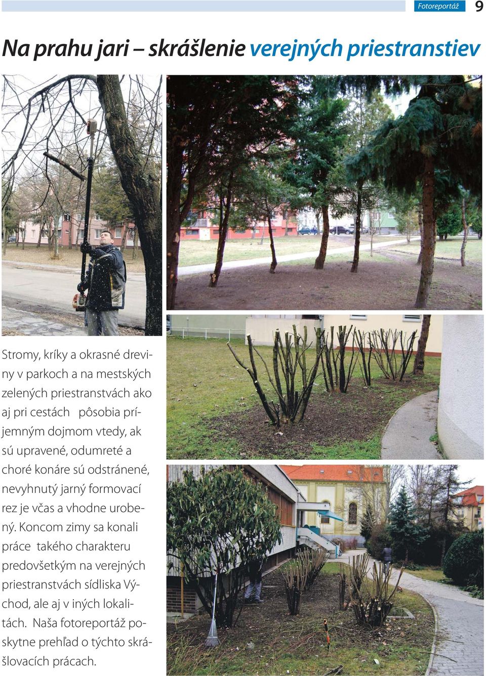 odstránené, nevyhnutý jarný formovací rez je včas a vhodne urobený.