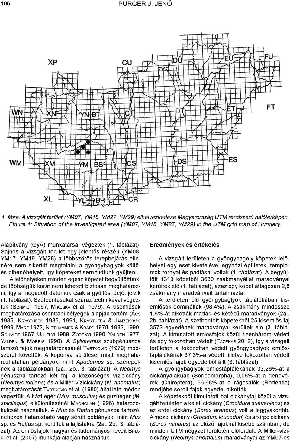 Sajnos a vizsgált terület egy jelentős részén (YM08, YM17, YM19, YM28) a többszörös terepbejárás ellenére sem sikerült megtalálni a gyöngybaglyok költőés pihenőhelyeit, így köpeteket sem tudtunk