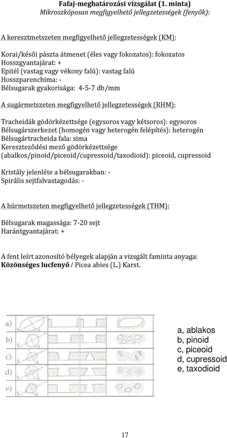 Epitél (vastag vagy vékony falú): vastag falú Hosszparenchima: - Bélsugarak gyakorisága: 4-5- 7 db/mm A sugármetszeten megfigyelhető jellegzetességek (RHM): Tracheidák gödörkézettsége (egysoros vagy