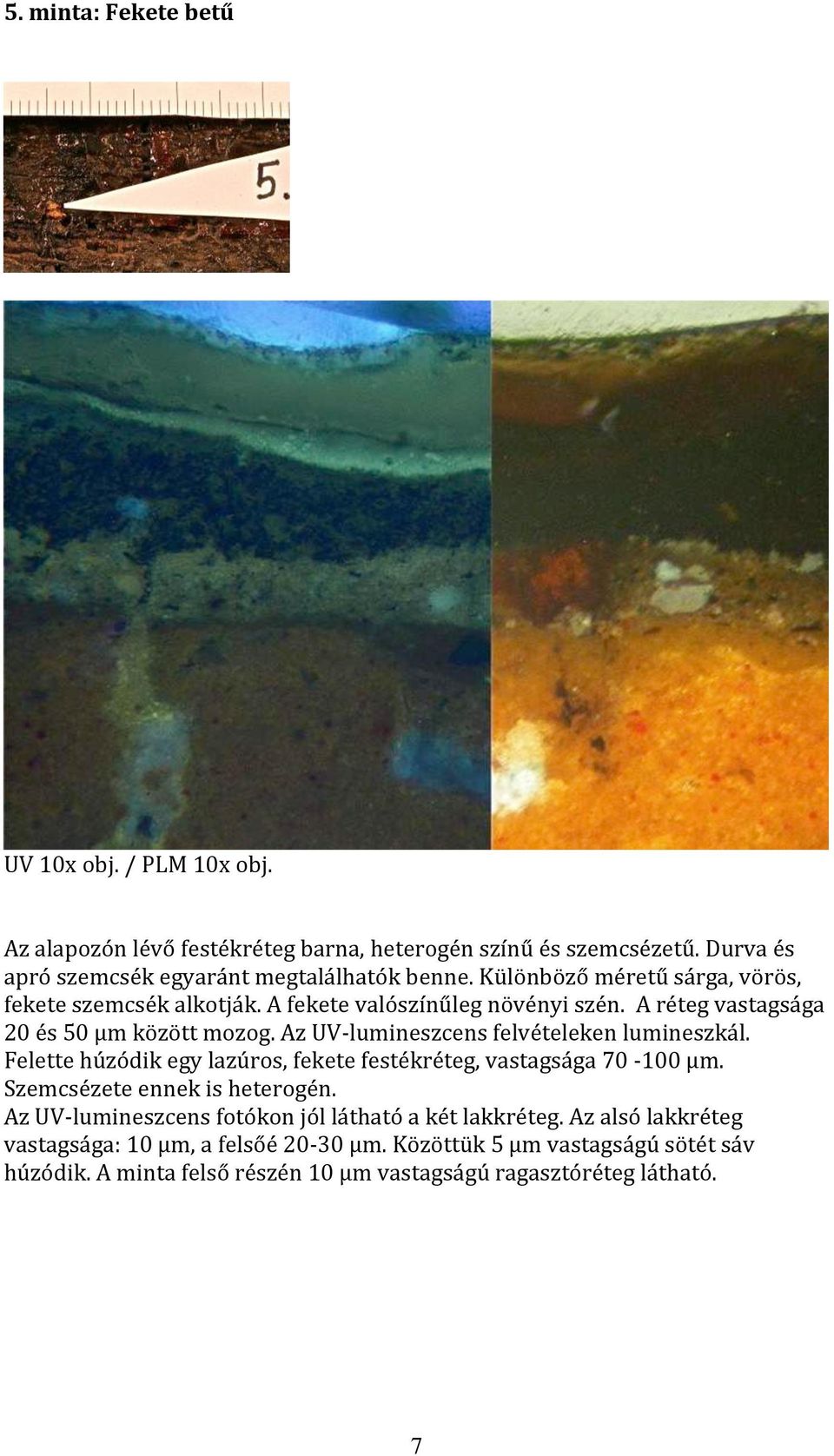 Az UV- lumineszcens felvételeken lumineszkál. Felette húzódik egy lazúros, fekete festékréteg, vastagsága 70-100 µm. Szemcsézete ennek is heterogén.