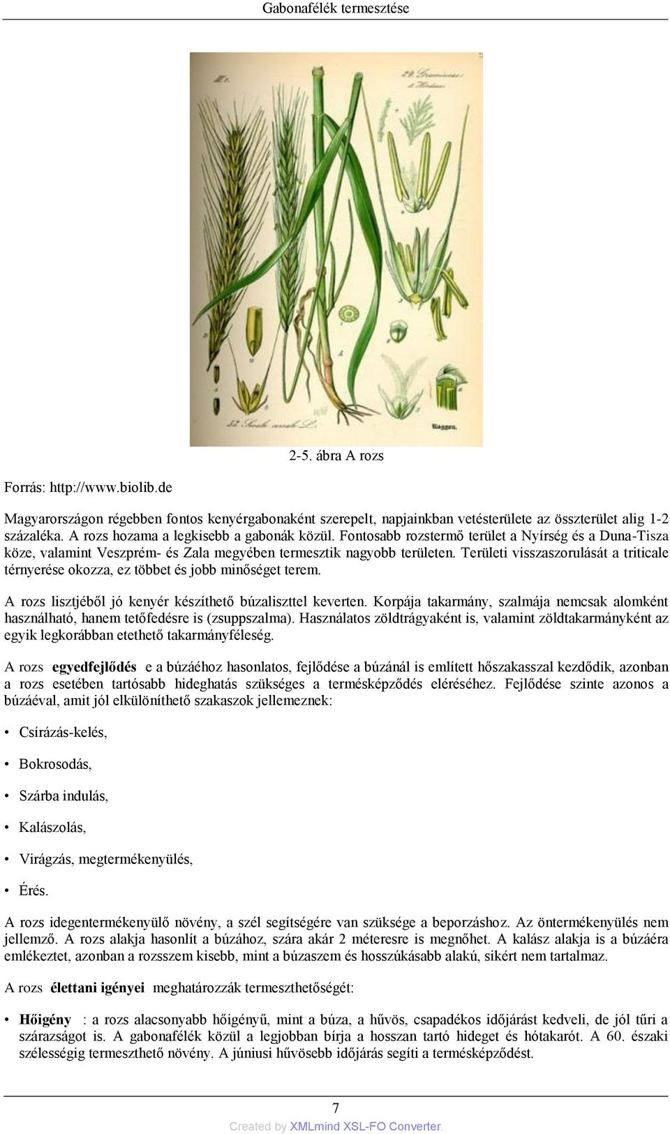 Területi visszaszorulását a triticale térnyerése okozza, ez többet és jobb minőséget terem. A rozs lisztjéből jó kenyér készíthető búzaliszttel keverten.