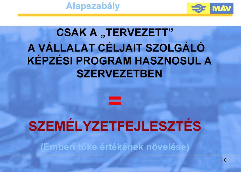 PROGRAM HASZNOSUL A SZERVEZETBEN =