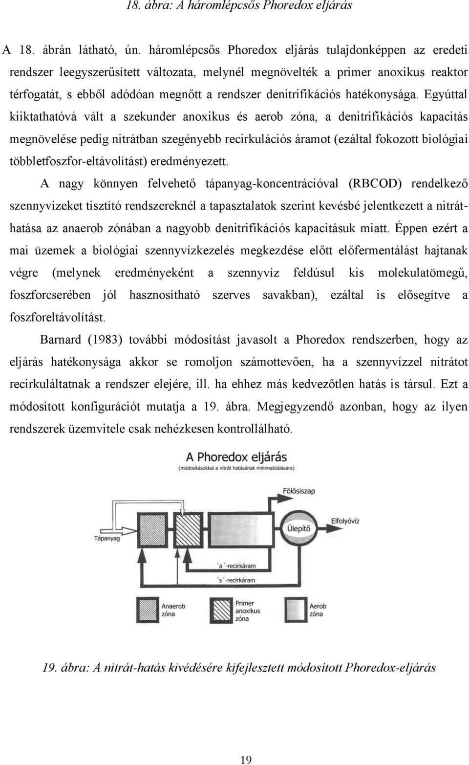 denitrifikációs hatékonysága.