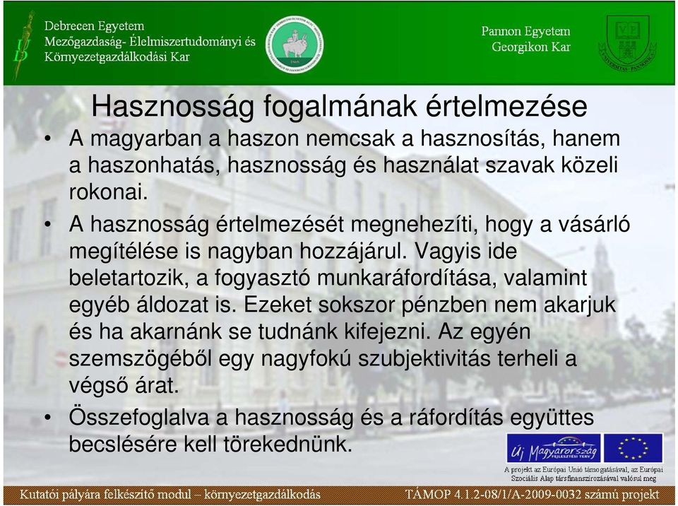 Vagyis ide beletartozik, a fogyasztó munkaráfordítása, valamint egyéb áldozat is.