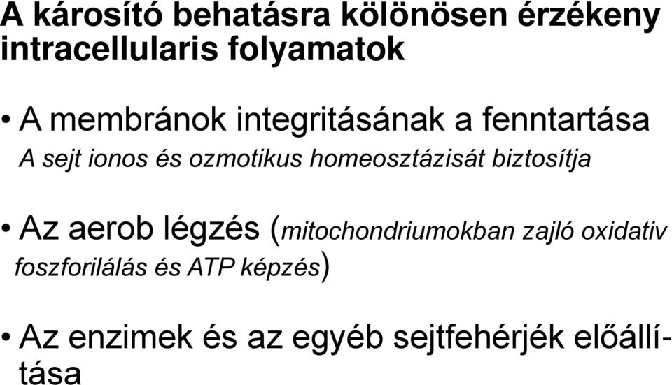 homeosztázisát biztosítja Az aerob légzés (mitochondriumokban zajló