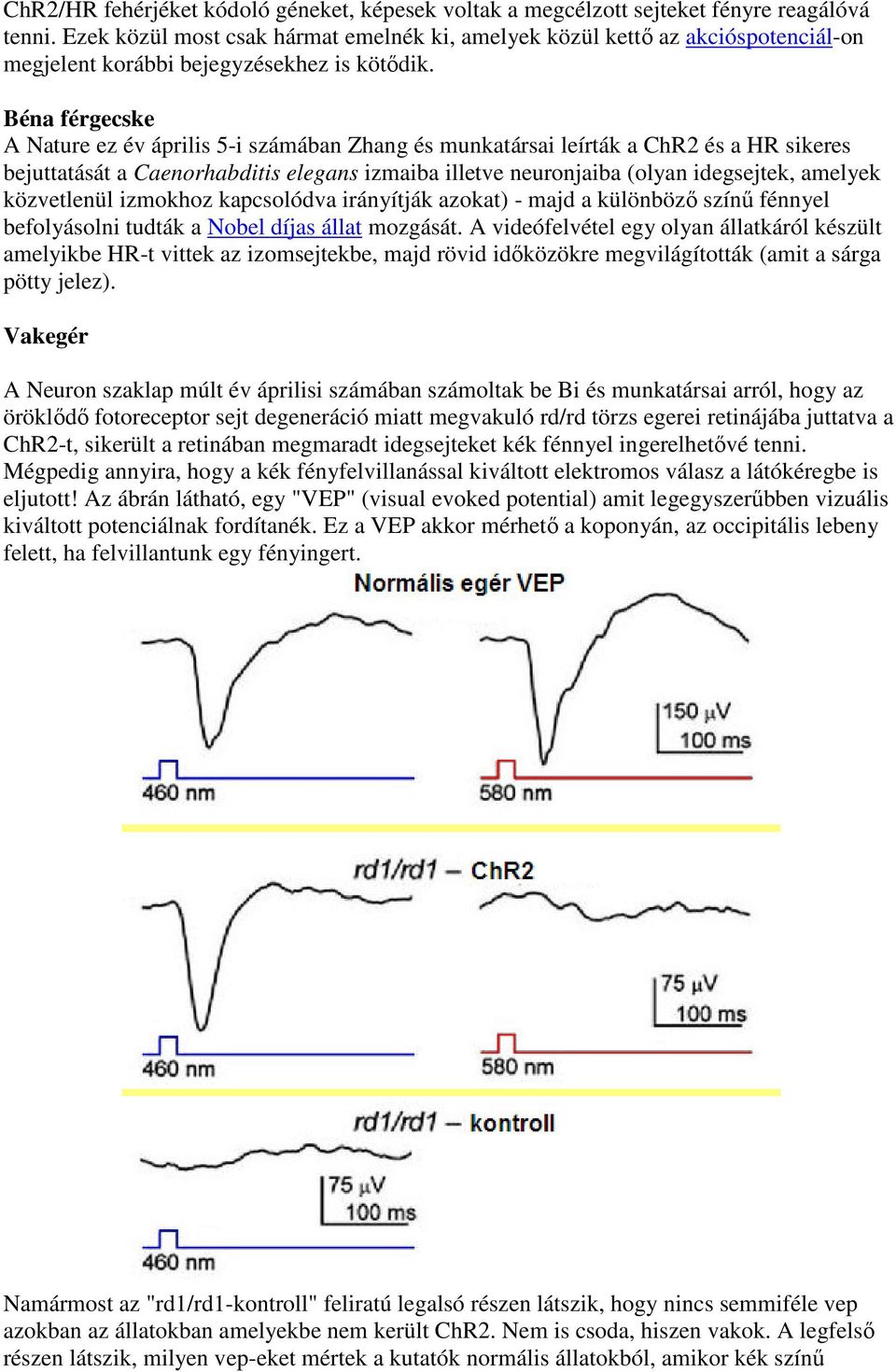 Béna férgecske A Nature ez év április 5-i számában Zhang és munkatársai leírták a ChR2 és a HR sikeres bejuttatását a Caenorhabditis elegans izmaiba illetve neuronjaiba (olyan idegsejtek, amelyek