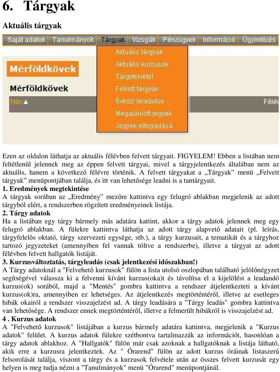 A felvett tárgyakat a Tárgyak menü Felvett tárgyak menüpontjában találja, és itt van lehetısége leadni is a tantárgyait. 1.