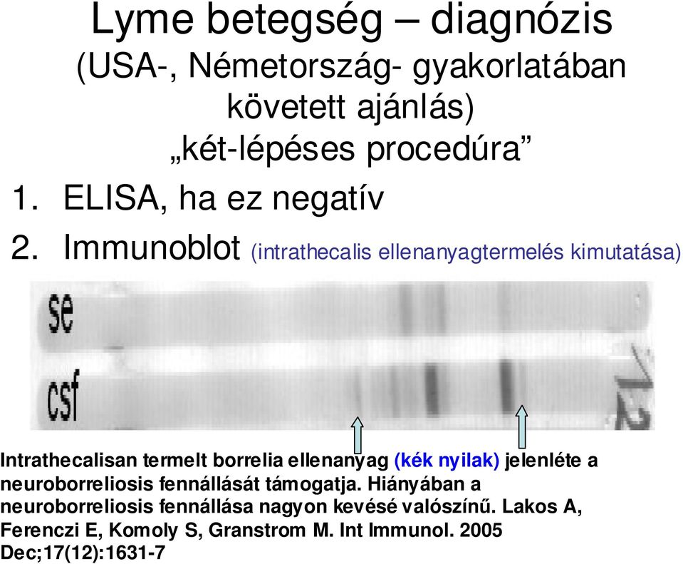 Immunoblot (intrathecalis ellenanyagtermelés kimutatása) Intrathecalisan termelt borrelia ellenanyag (kék