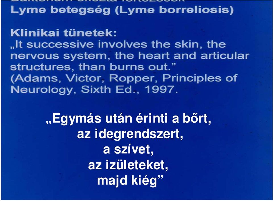 idegrendszert, a