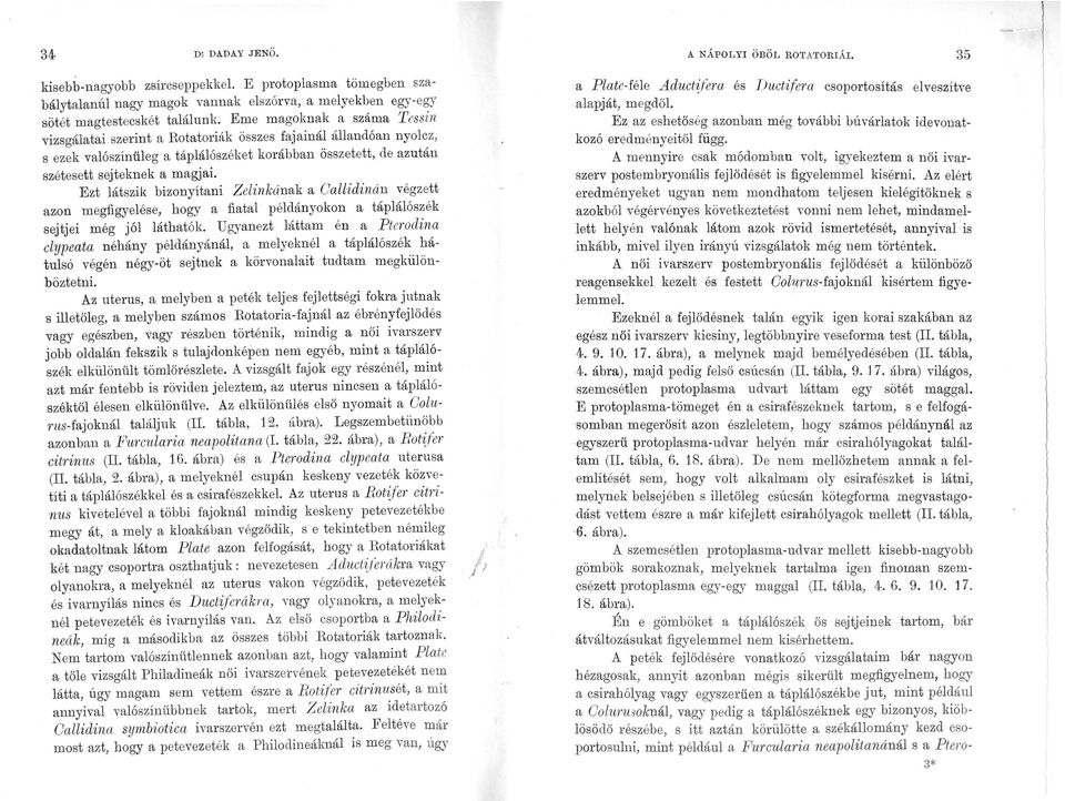 Ezt látszik bizonyítani Zelinkának a Callidinán végzett azon megfigyelése, hogy a fiatal példányokon a táplálószék sejtjei még jól láthatók.