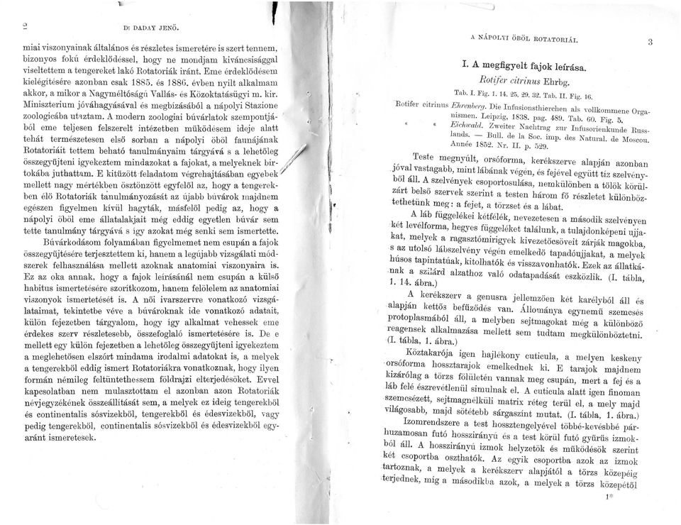 Miniszterium jóváhagyásával és megbízásából a nápolyi Stazw~e zoologicába ut<tztam.