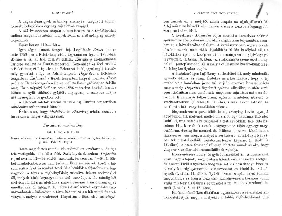 Legelőször Easter ismertette 1759-ben a Keleti-tengerből. Ugyaninnen írja le 1830-ban Micháelis is, ki Kiel mellett találta.