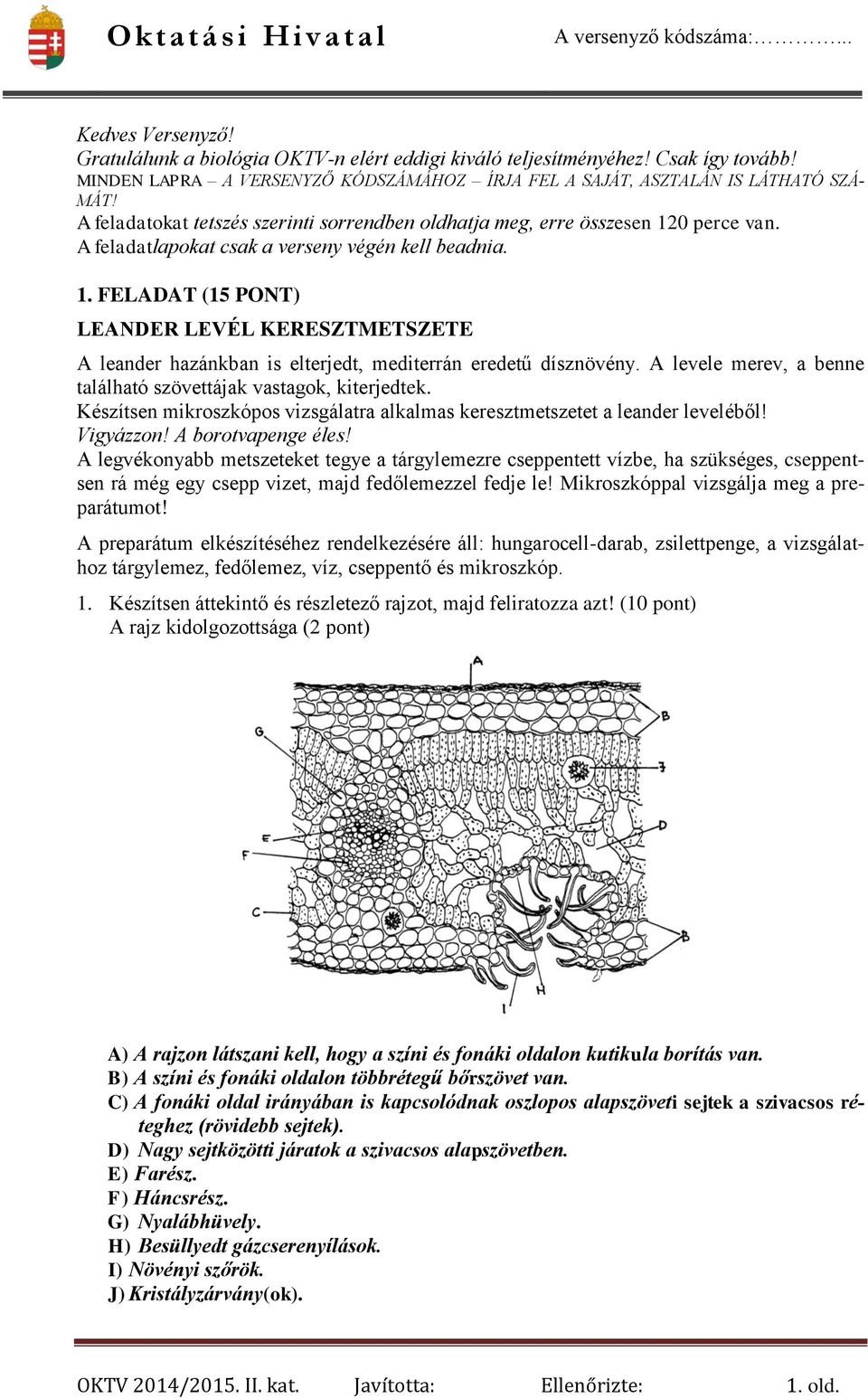 A levele merev, a benne található szövettájak vastagok, kiterjedtek. Készítsen mikroszkópos vizsgálatra alkalmas keresztmetszetet a leander leveléből! Vigyázzon! A borotvapenge éles!