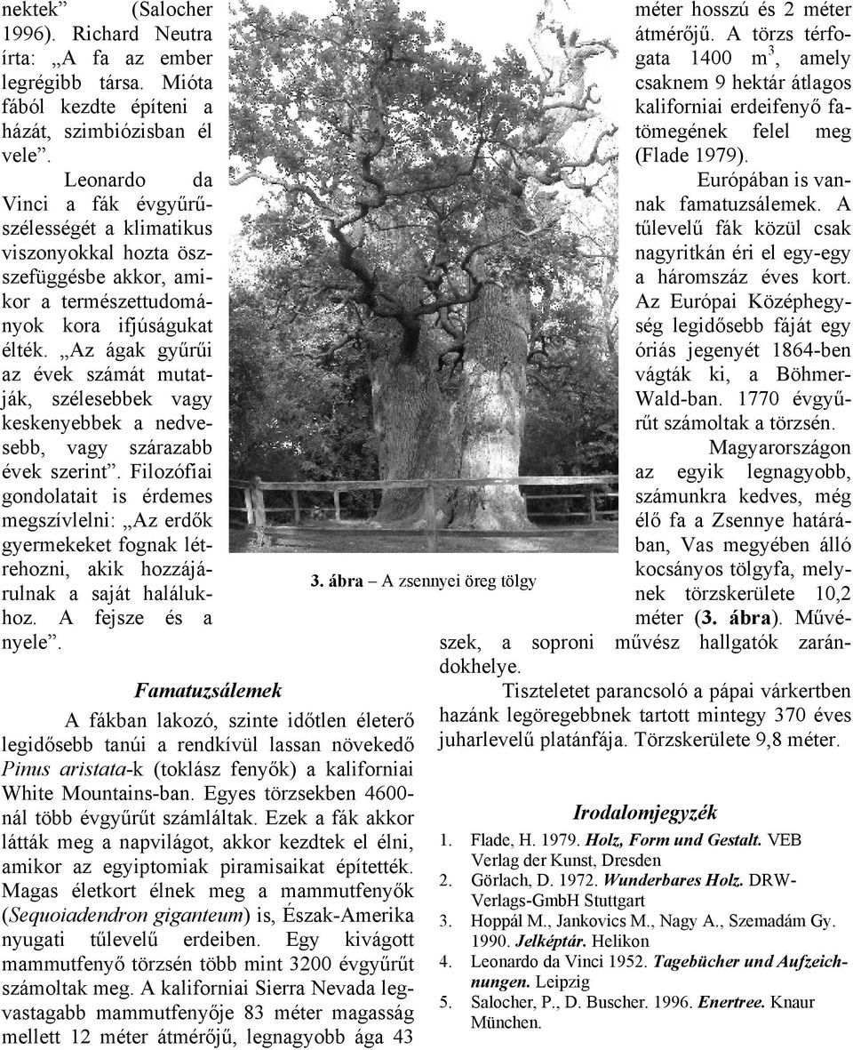 Az ágak gyűrűi az évek számát mutatják, szélesebbek vagy keskenyebbek a nedvesebb, vagy szárazabb évek szerint.