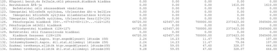 Támogatási kölcsönök nyújtása, törlesztése össz(123+124) 0.00 0.00 0.00 0.00 0.00 126. Pénzforgalmi kiadások (04+..+07+43+60+113+...+122+125) 66720.00 425457.00 700000.00 2373423.00 3565600.00 127.