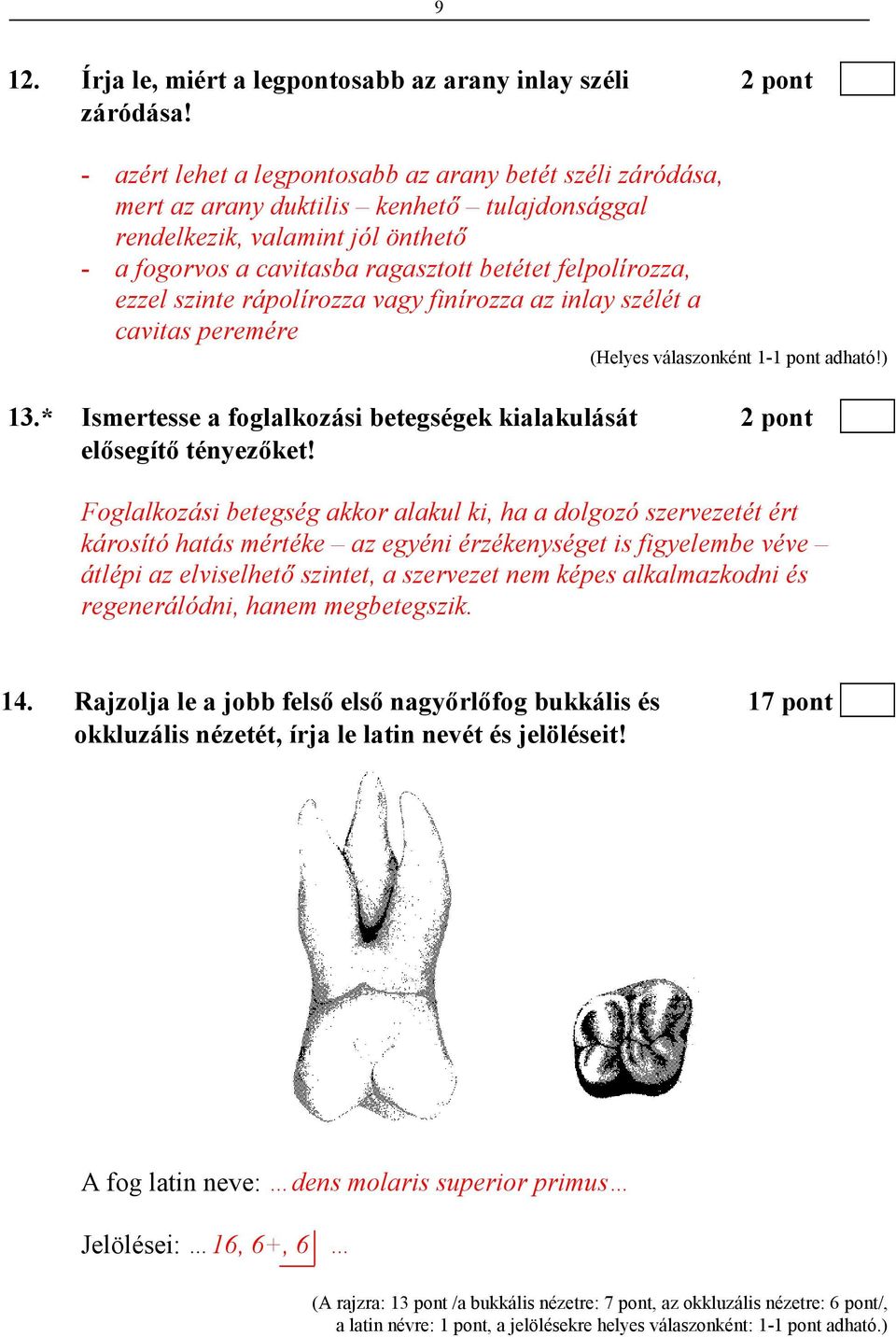 ezzel szinte rápolírozza vagy finírozza az inlay szélét a cavitas peremére 13.* Ismertesse a foglalkozási betegségek kialakulását 2 pont elısegítı tényezıket!