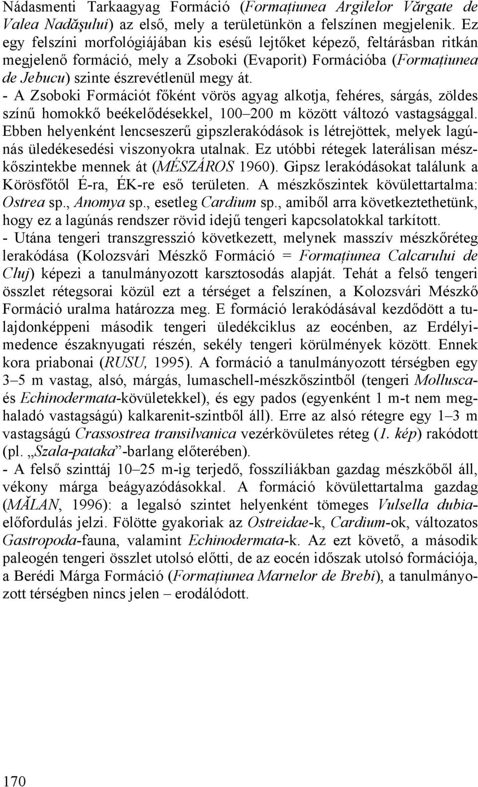 - A Zsoboki Formációt főként vörös agyag alkotja, fehéres, sárgás, zöldes színű homokkő beékelődésekkel, 100 200 m között változó vastagsággal.