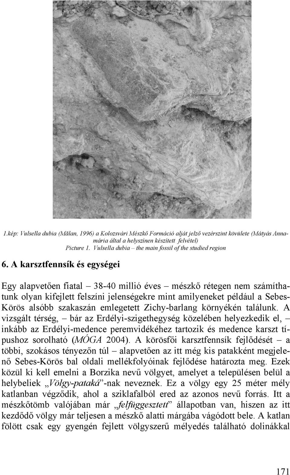 A karsztfennsík és egységei Egy alapvetően fiatal 38-40 millió éves mészkő rétegen nem számíthatunk olyan kifejlett felszíni jelenségekre mint amilyeneket például a Sebes- Körös alsóbb szakaszán