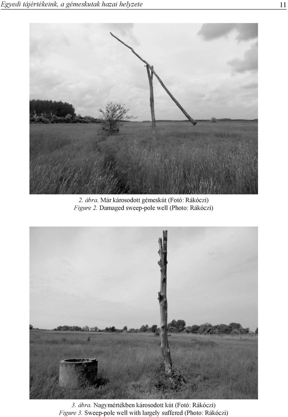 Damaged sweep-pole well (Photo: Rákóczi) 3. ábra.