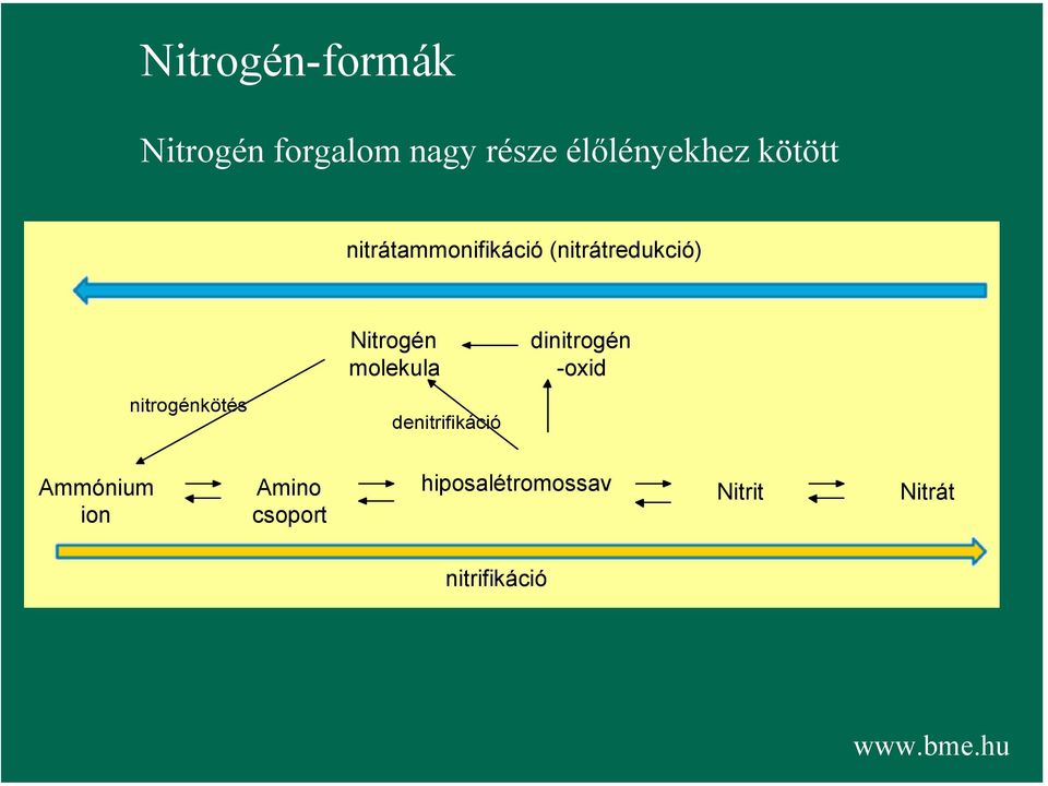 Nitrogén molekula denitrifikáció dinitrogén -oxid Ammónium