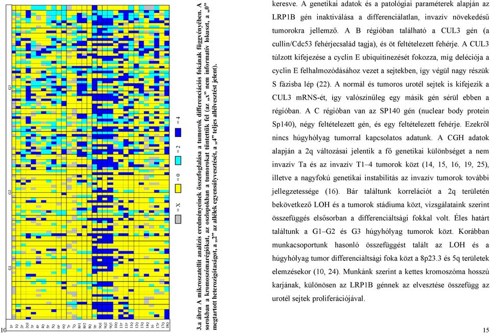 A sorokban a kromoszómarégiókat, az oszlopokban a tumorokat tüntettük fel (az x nem informatív lokuszt, a 0 megtartott heterozigótaságot, a 2 az allélek egyensúlyvesztését, a 4 teljes allélvesztést