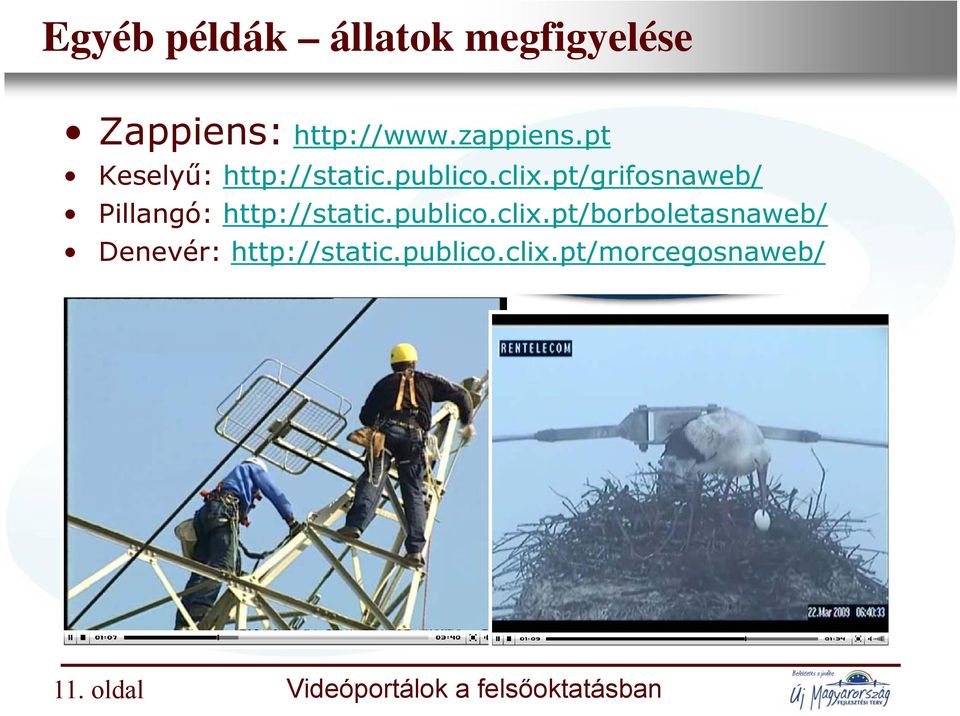 pt/grifosnaweb/ publico clix pt/grifosnaweb/ Pillangó: http://static.publico.clix.pt/borboletasnaweb/ Denevér: http://static.
