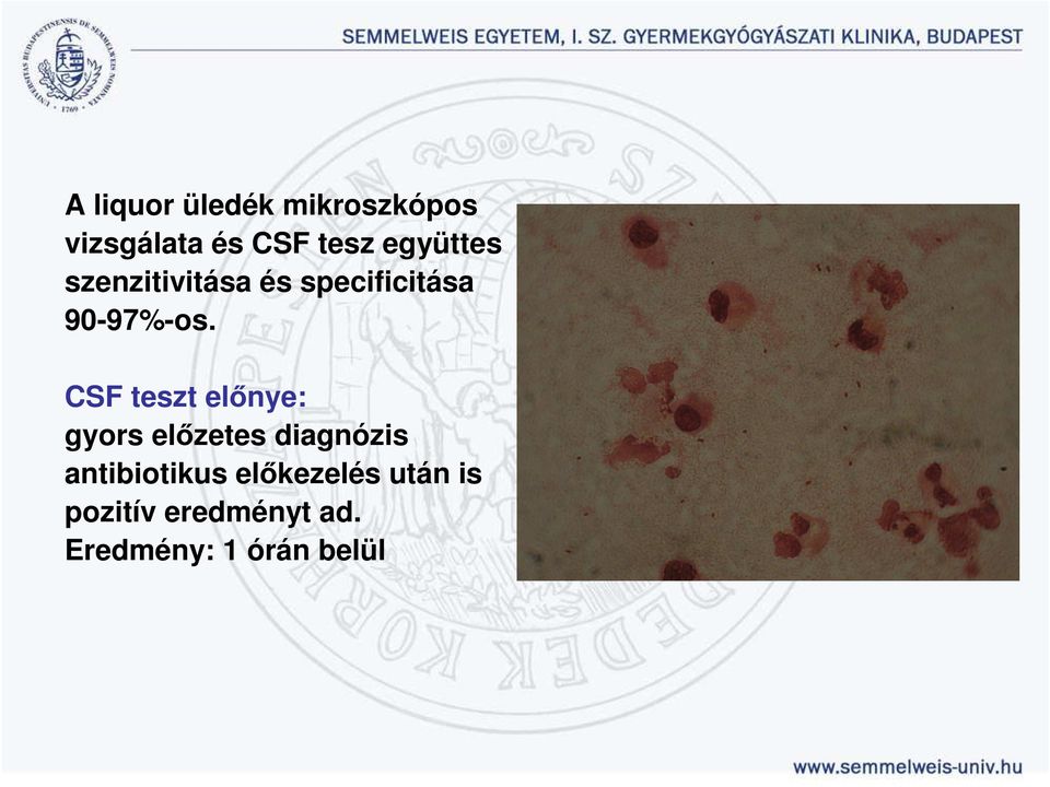 CSF teszt elınye: gyors elızetes diagnózis antibiotikus