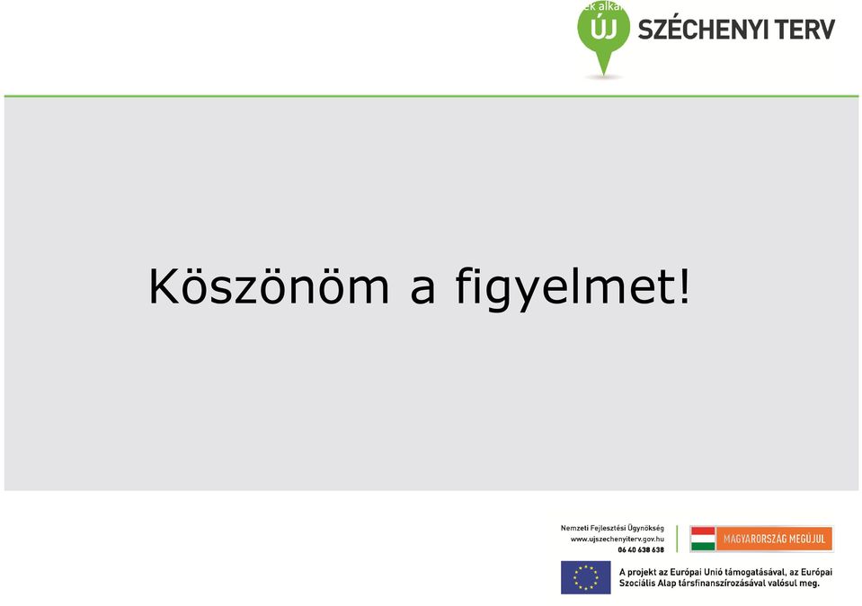 közreműködésével a projektbe bevont 20 főből a kiválasztott 12 fő 2013 További sikernek