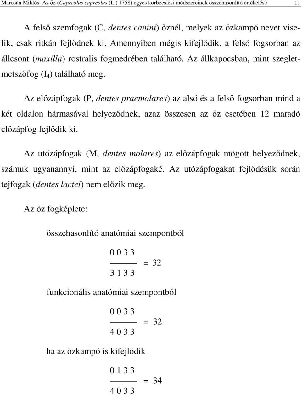 Amennyiben mégis kifejldik, a fels fogsorban az állcsont (maxilla) rostralis fogmedrében található. Az állkapocsban, mint szegletmetszfog (I 4 ) található meg.