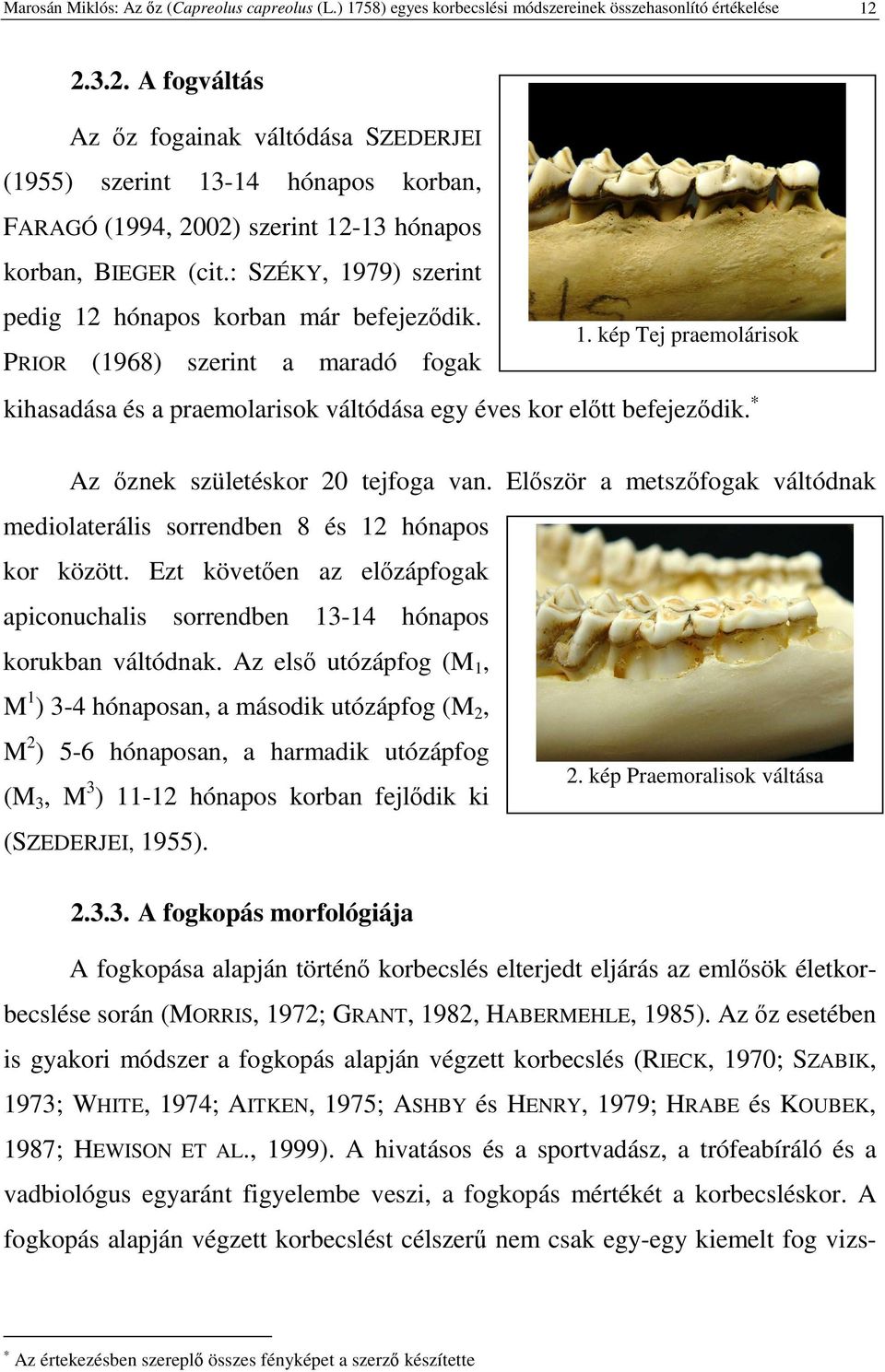 : SZÉKY, 1979) szerint pedig 12 hónapos korban már befejezdik. PRIOR (1968) szerint a maradó fogak 1. kép Tej praemolárisok kihasadása és a praemolarisok váltódása egy éves kor eltt befejezdik.