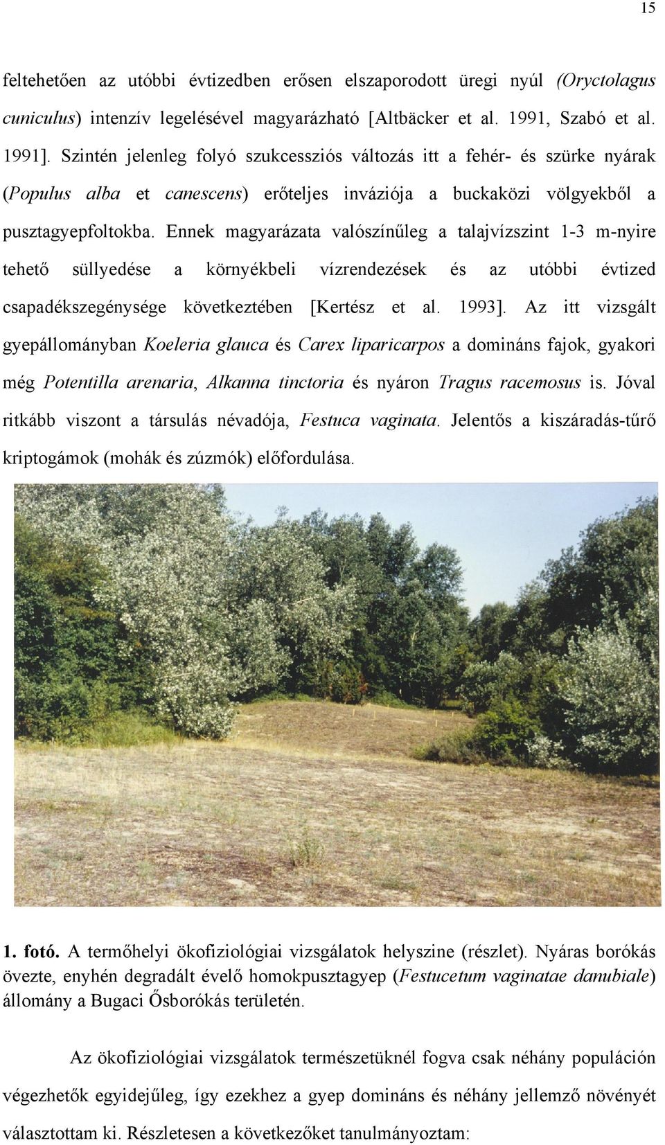 Ennek magyarázata valószínűleg a talajvízszint 1-3 m-nyire tehető süllyedése a környékbeli vízrendezések és az utóbbi évtized csapadékszegénysége következtében [Kertész et al. 1993].
