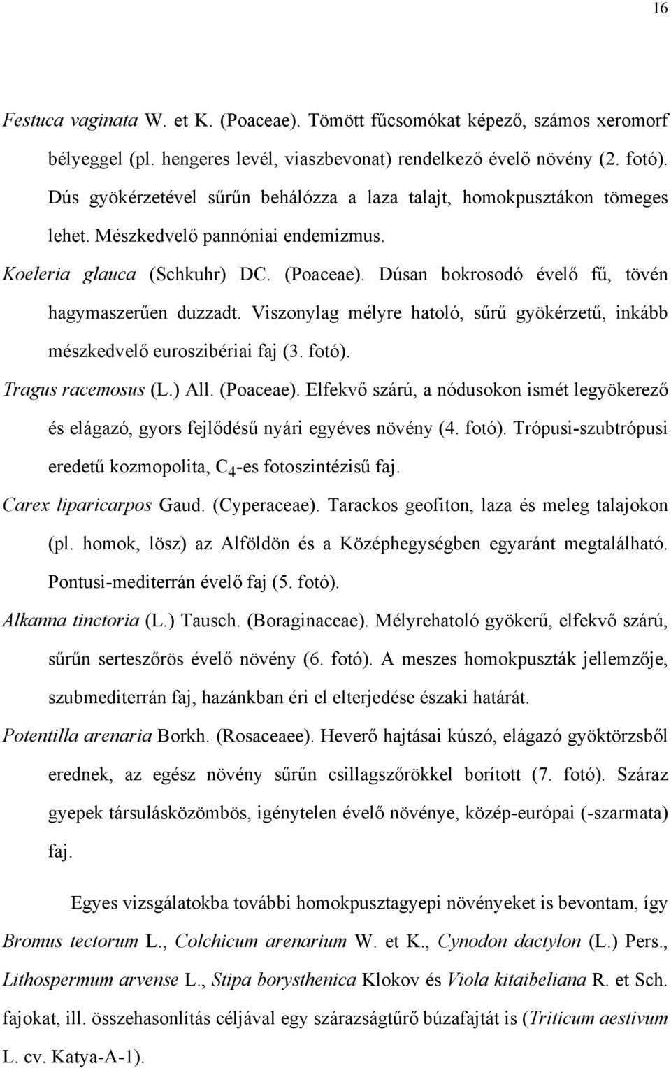 Dúsan bokrosodó évelő fű, tövén hagymaszerűen duzzadt. Viszonylag mélyre hatoló, sűrű gyökérzetű, inkább mészkedvelő euroszibériai faj (3. fotó). Tragus racemosus (L.) All. (Poaceae).