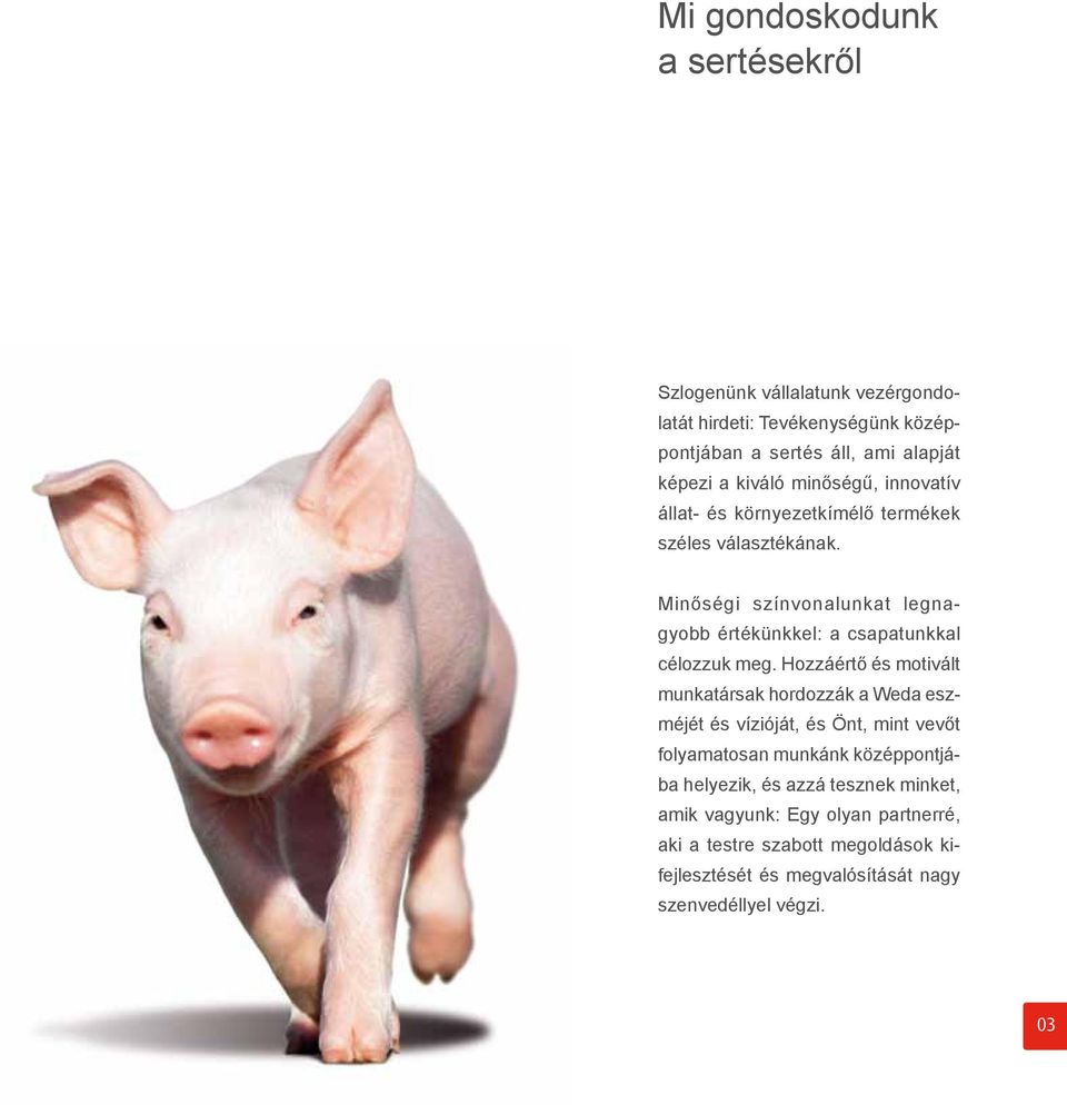 Minőségi színvonalunkat legnagyobb értékünkkel: a csapatunkkal célozzuk meg.
