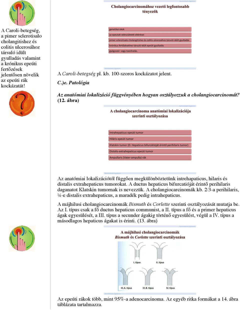 ábra) Az anatómiai lokalizációtól függően megkülönböztetünk intrehapaticus, hilaris és distalis extrahepaticus tumorokat.