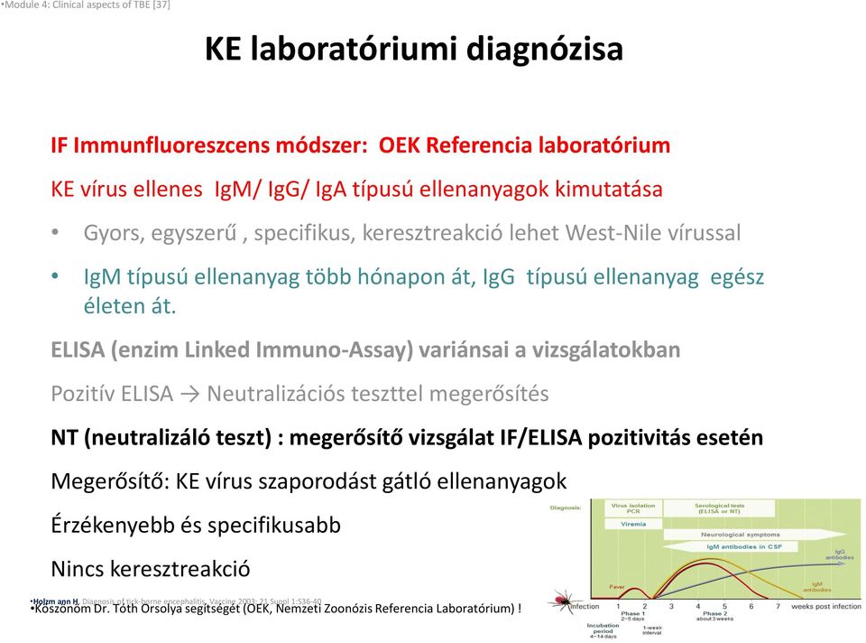 ELISA (enzim Linked Immuno-Assay) variánsai a vizsgálatokban Pozitív ELISA Neutralizációs teszttel megerősítés NT (neutralizáló teszt) : megerősítő vizsgálat IF/ELISA pozitivitás esetén Megerősítő: