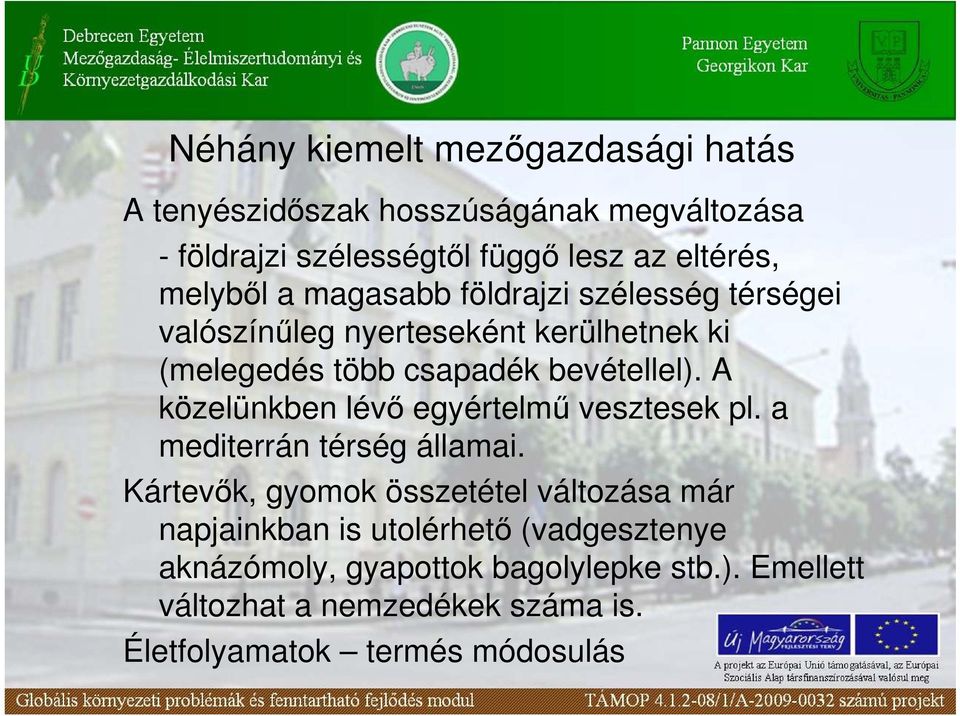 A közelünkben lévı egyértelmő vesztesek pl. a mediterrán térség államai.