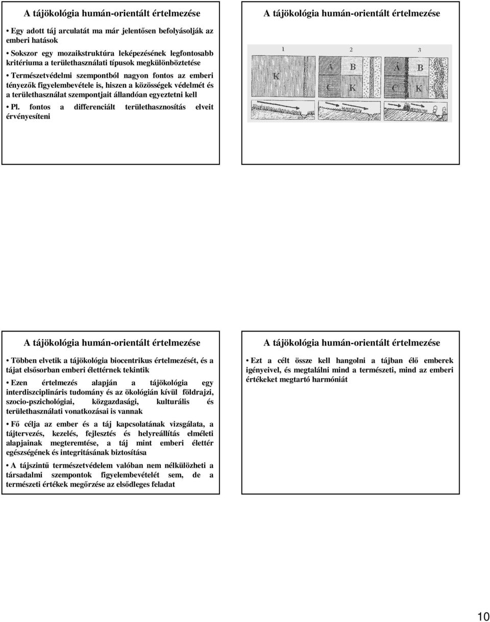 területhasználat szempontjait állandóan egyeztetni kell Pl.