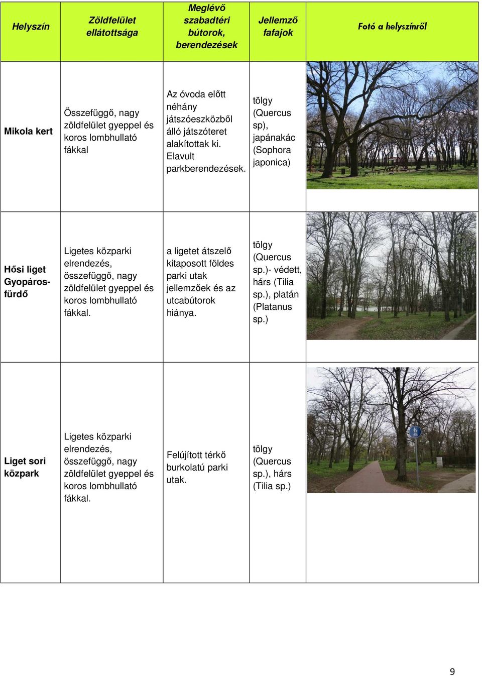 tölgy sp), japánakác (Sophora japonica) Hősi liget Gyopárosfürdő Ligetes közparki elrendezés, összefüggő, nagy zöldfelület gyeppel és fákkal.