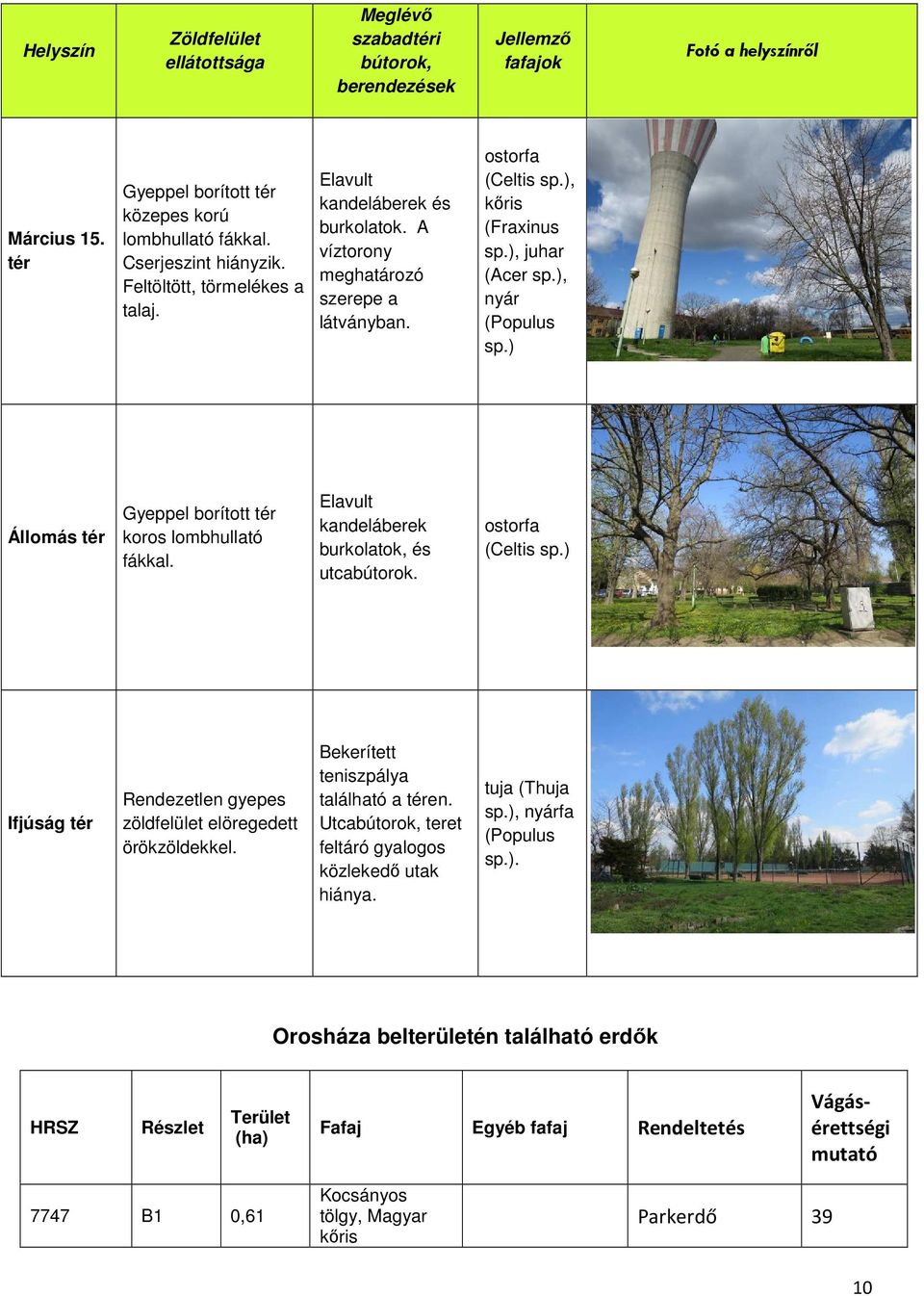 Elavult kandeláberek burkolatok, és utcabútorok. ostorfa (Celtis sp.) Ifjúság Rendezetlen gyepes zöldfelület elöregedett örökzöldekkel. Bekerített teniszpálya található a en.