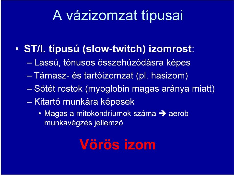 Támasz- és tartóizomzat (pl.