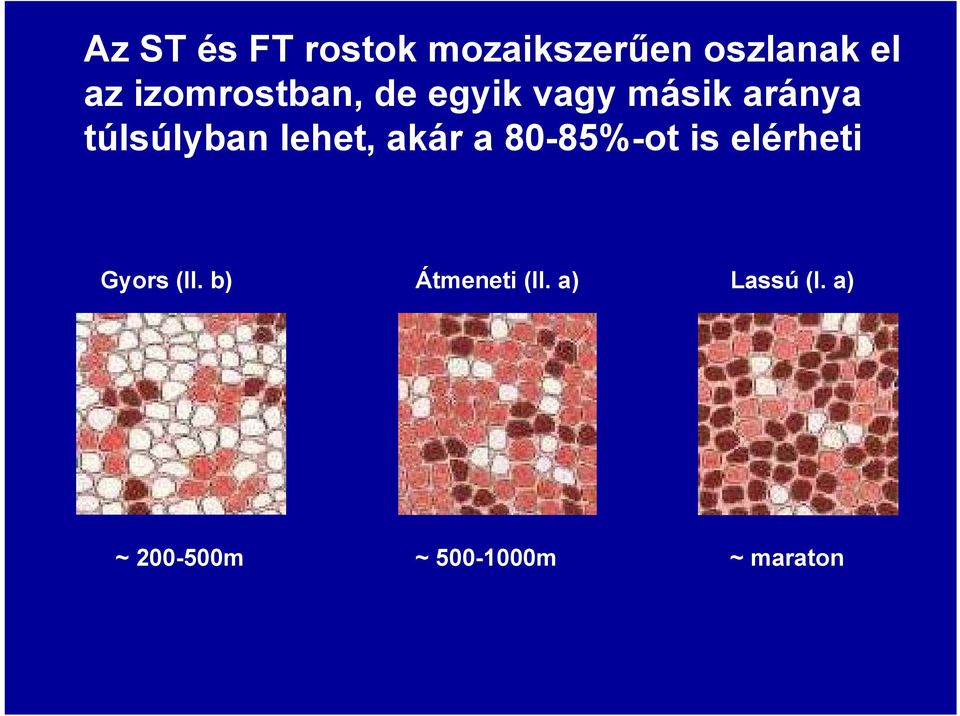 lehet, akár a 80-85%-ot is elérheti Gyors (II.